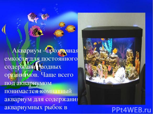 Аквариум –прозрачная емкость для постоянного содержания водных организмов. Чаще всего под аквариумом понимается комнатный аквариум для содержания аквариумных рыбок в домашних условиях.