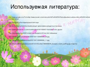 Используемая литература: http://www.google.ru/url?url=http://www.zoovet.ru/anima