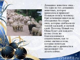 Домашнее животное овца - это одно из тех домашних животных, которое приносила и