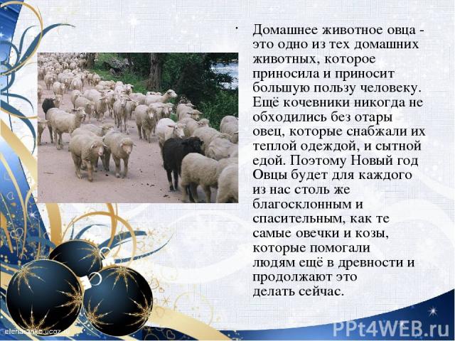 Домашнее животное овца - это одно из тех домашних животных, которое приносила и приносит большую пользу человеку. Ещё кочевники никогда не обходились без отары овец, которые снабжали их теплой одеждой, и сытной едой. Поэтому Новый год Овцы будет для…