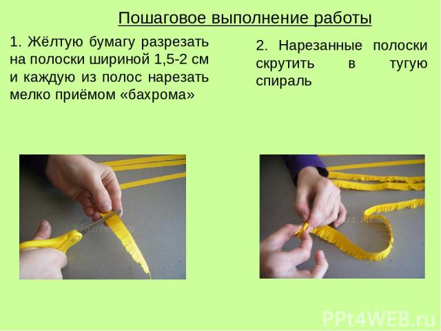 Пошаговое выполнение работы 1. Жёлтую бумагу разрезать на полоски шириной 1,5-2 см и каждую из полос нарезать мелко приёмом «бахрома» 2. Нарезанные полоски скрутить в тугую спираль