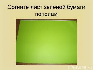 Согните лист зелёной бумаги пополам