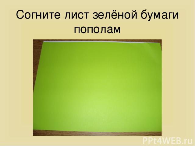 Согните лист зелёной бумаги пополам