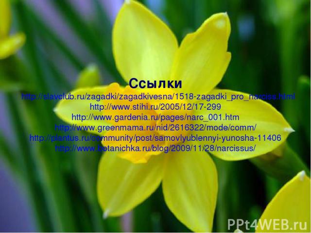 Ссылки http://slavclub.ru/zagadki/zagadkivesna/1518-zagadki_pro_narciss.html http://www.stihi.ru/2005/12/17-299 http://www.gardenia.ru/pages/narc_001.htm http://www.greenmama.ru/nid/2616322/mode/comm/ http://plantus.ru/community/post/samovlyublennyi…