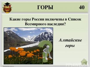 РЕКИ 10 Волга, Обь, Енисей, Лена, Амур Назовите самые крупные реки России?