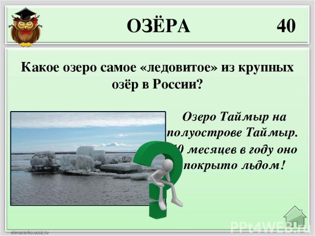 МОРЯ 10 Берингово море. Площадь – 2315 тыс.км² Назовите самое большое и глубокое море у берегов России?