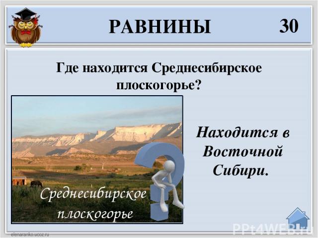 50 РАВНИНЫ Какая равнина России самая низкая? Западно-Сибирская равнина