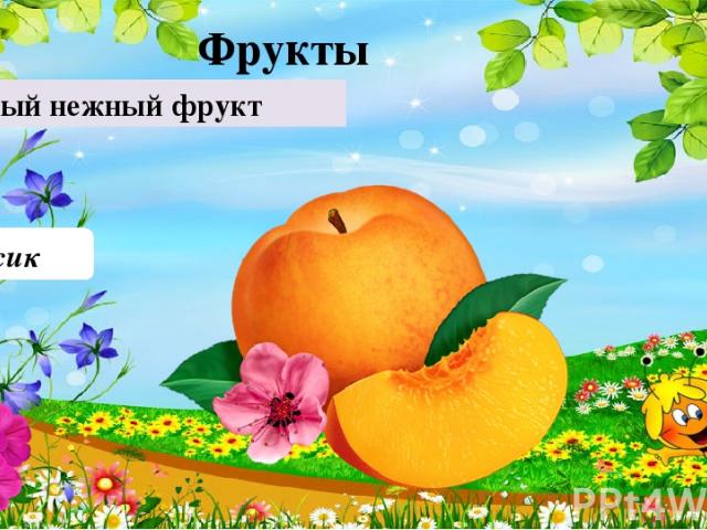Персик  Самый нежный фрукт 40 Фрукты