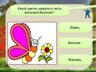 Какой цветок назвали в честь мальчика Василия? Борец Василек Воронец ©Фуфлыгина