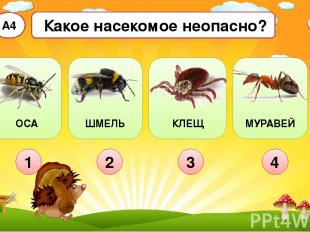 Какое насекомое неопасно? А4 1 2 3 4 ОСА ШМЕЛЬ КЛЕЩ МУРАВЕЙ