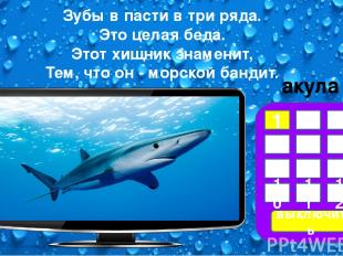 фон рамка фон-капли телевизор акула Краб Креветка Загадки Дельфин морской конёк
