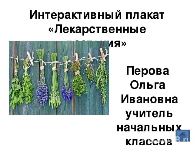 Календула Крапива Шиповник Ромашка Подорожник Душица