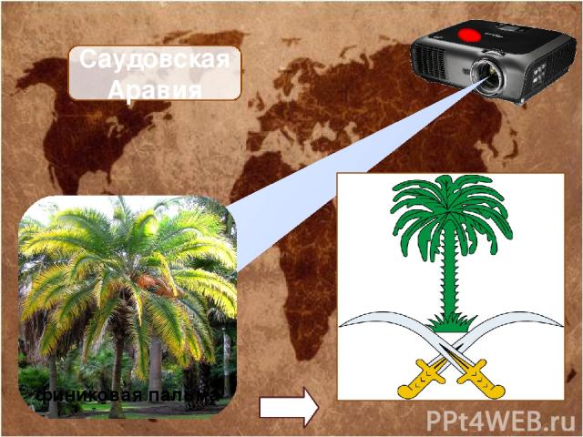 Саудовская Аравия финиковая пальма