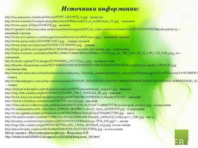 http://rus.panasonic.ru/upload/iblock/e97/PT-LB20NTE_b.jpg -проектор http://www.kartinki24.ru/uploads/gallery/main/456/kartinki24_ru_wildflowers_01.jpg - васильки http://www.quizz.fr/files/2014/02/8.jpg - василёк http://vignette1.wikia.nocookie.net/…