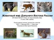 Интерактивный плакат "Животный мир "Дальнего Востока России"