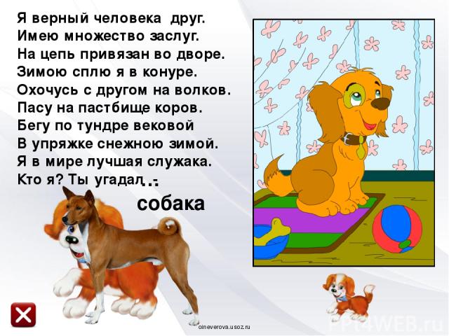 Стихи про собаку для детей