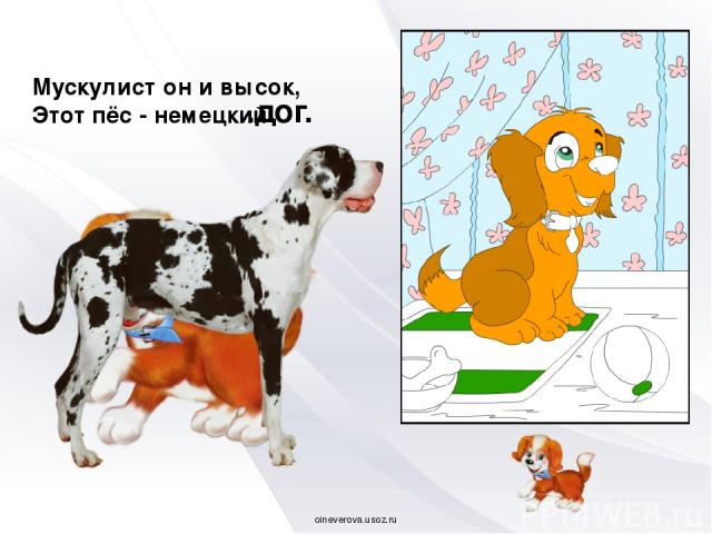 Мускулист он и высок, Этот пёс - немецкий … дог. oineverova.usoz.ru