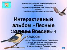 Интерактивный альбом "Лесные птицы России"