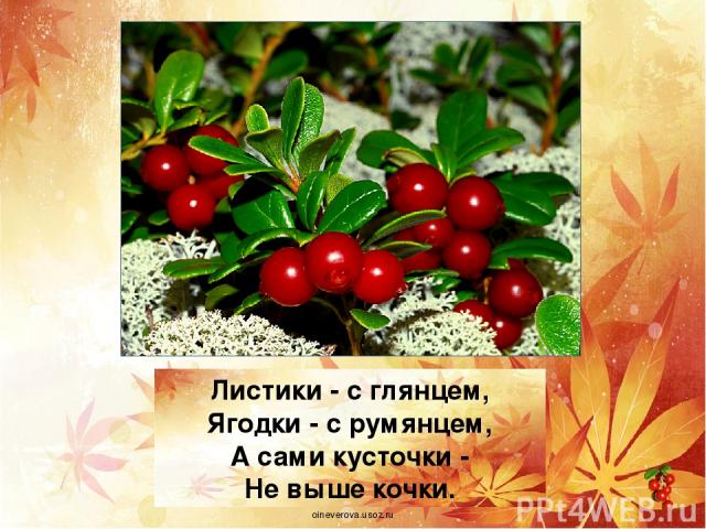 малиной Эти ягоды, все знают, Нам лекарство заменяют. Если вы больны ангиной, Пейте на ночь чай с... oineverova.usoz.ru