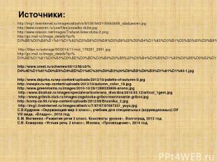 Источники: http://img1.liveinternet.ru/images/attach/c/9/105/540/105540455_oladz
