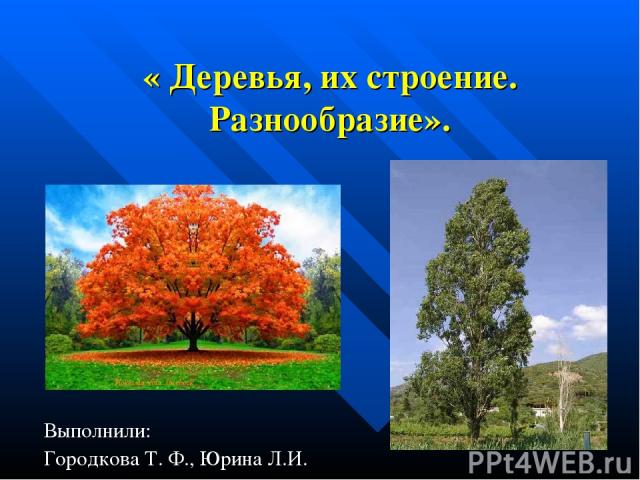 « Деревья, их строение. Разнообразие». Выполнили: Городкова Т. Ф., Юрина Л.И.