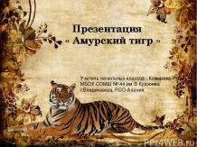 Презентация к уроку окружающего мира "Амурский тигр"