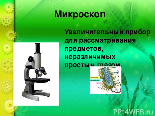 Микроскоп Увеличительный прибор для рассматривания предметов, неразличимых простым глазом.