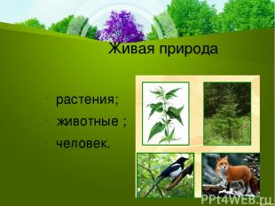 Живая природа растения; животные ; человек.