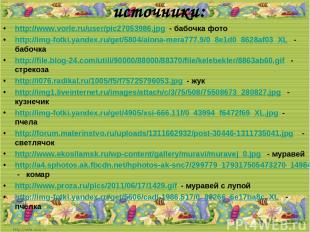 источники: http://www.vorle.ru/user/pic27053986.jpg - бабочка фото http://img-fo