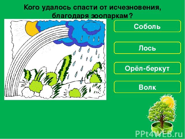 Какое правило неверное? Не лови и не уноси домой здоровых птенцов! Не ходи в лесу по тропинкам! Подкармливай птиц зимой! Не включай в лесу музыку!