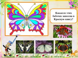 Как называется наука о насекомых? энтомология ихтиология биология орнитология