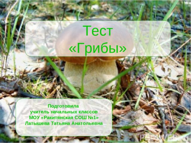 Тест грибы 5 класс биология с ответами. Грибы тест. Контрольная работа грибы. Тест по грибам 1 класс. Интересные грибы тест.