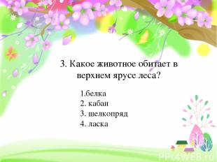 3. Какое животное обитает в верхнем ярусе леса? 1.белка 2. кабан 3. шелкопряд 4.