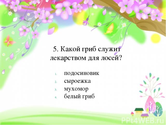 5. Какой гриб служит лекарством для лосей? подосиновик сыроежка мухомор белый гриб