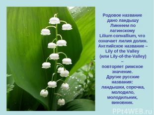 Родовое название дано ландышу Линнеем по латинскому Lilium convallium, что означ
