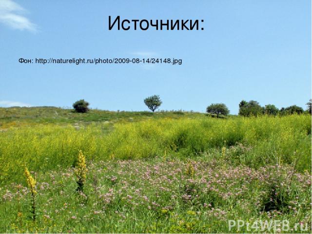 Источники: Фон: http://naturelight.ru/photo/2009-08-14/24148.jpg