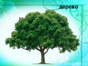 дерево Нам в дождь и зной Поможет друг, Зеленый и хороший – Протянет нам десятки