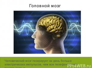 Человеческий мозг генерирует за день больше электрических импульсов, чем все тел