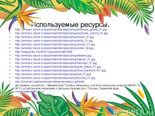 Используемые ресурсы. http://aminpro.narod.ru/dopoln/kartinki/dopol/pticy/americ
