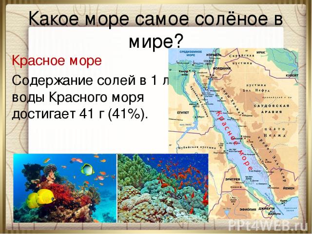 Какое море самое солёное в мире? Красное море Содержание солей в 1 л воды Красного моря достигает 41 г (41%).