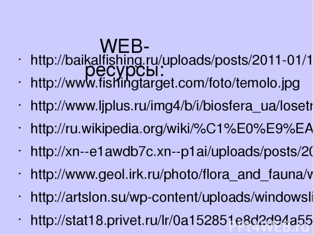 WEB-ресурсы: http://baikalfishing.ru/uploads/posts/2011-01/1296277358_coregonus20oxyrinchus2000005.jpg http://www.fishingtarget.com/foto/temolo.jpg http://www.ljplus.ru/img4/b/i/biosfera_ua/losetr.jpg http://ru.wikipedia.org/wiki/%C1%E0%E9%EA%E0%EB …