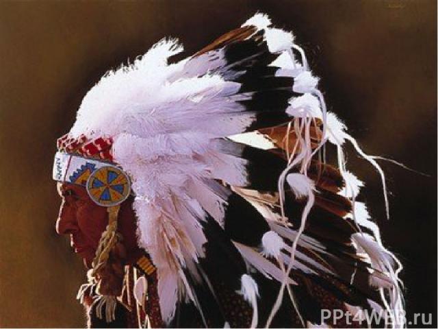 Подражая птицам, некоторые племена строили свои жилища на деревьях, разукрашивали свои лица и вплетали в волосы яркие перья.