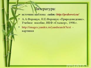 Литература: источник шаблона: сайт: http://pedsovet.su/ А.А.Форощук, Н.Е.Форощук
