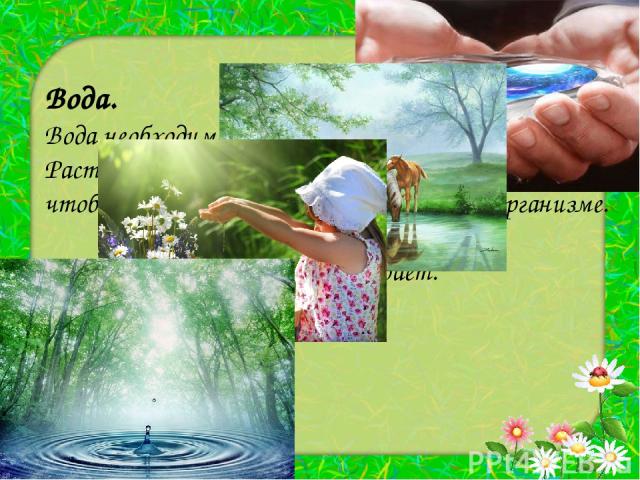 Вода. Вода необходима всем живым существам. Растения, животные и человек пьют воду для того, чтобы постоянно пополнять её запасы в организме. Без воды живой организм погибает.