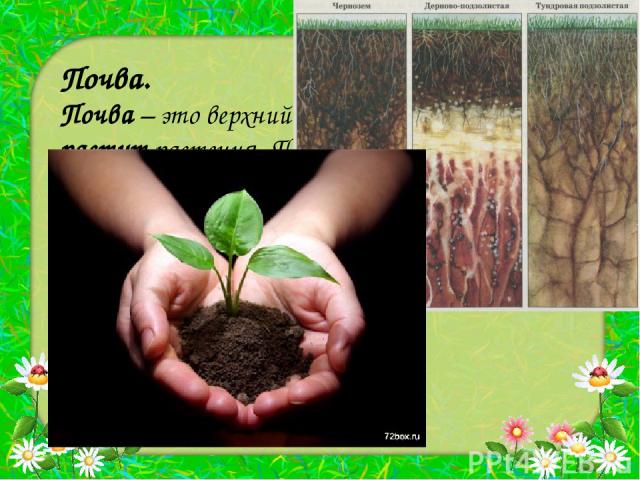 Почва. Почва – это верхний слой земли, на котором растут растения. Почва так же важна для жизни растений, как солнечная энергия. Кроме того, почва удерживает воду , она ещё Является основным источником питательных веществ, необходимых для роста растений.