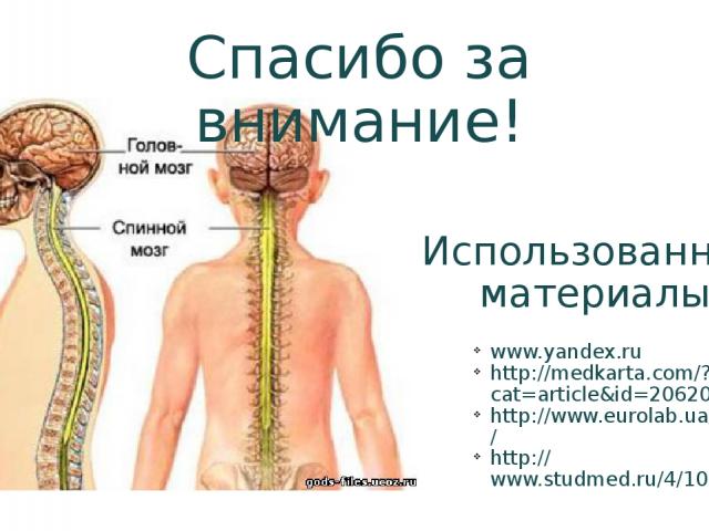 Использованные материалы: www.yandex.ru http://medkarta.com/?cat=article&id=20620 http://www.eurolab.ua/anatomy/system/nervous/ http://www.studmed.ru/4/109.htm Спасибо за внимание!