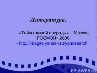 Литература: - «Тайны живой природы» – Москва «РОСМЭН»,2000. - http://images.yand