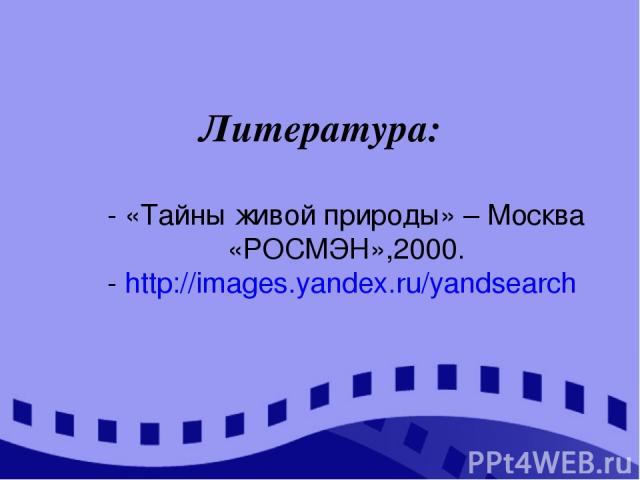 Литература: - «Тайны живой природы» – Москва «РОСМЭН»,2000. - http://images.yandex.ru/yandsearch