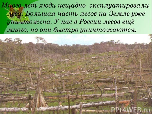 Много лет люди нещадно эксплуатировали леса. Большая часть лесов на Земле уже уничтожена. У нас в России лесов ещё много, но они быстро уничтожаются.