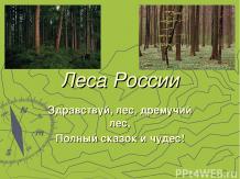 Урок по окружающему миру "Леса России"